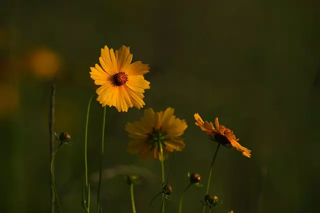 Nesquik Shake Recept: Připravte si ho snadno s naším receptem!