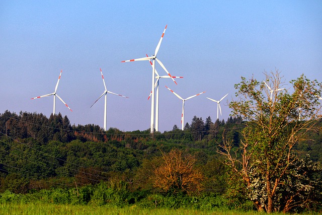 Nejlepší přírodní zdroje elektrolytů ve vašem domácím iontovém nápoji