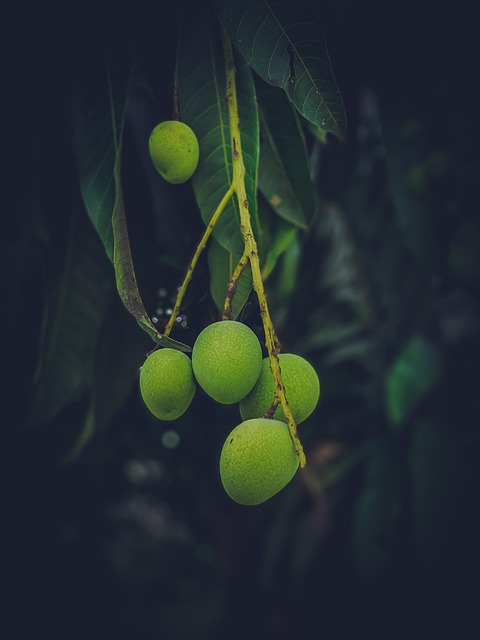 3. Dopřejte si tropickou osvěžující chuť: Jak vybrat správné ingredience a právě zráním mango?