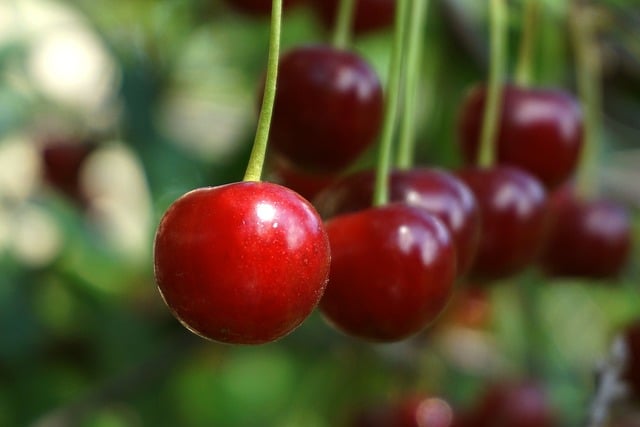 Nádherně osvěžující kombinace třešní a citrusových ⁤plodů