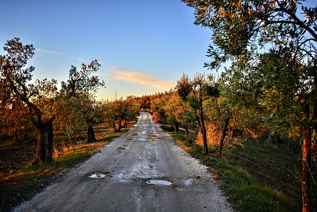 Chianti - Proslulé červené víno⁢ Toskánského kraje ⁣s bohatou historií