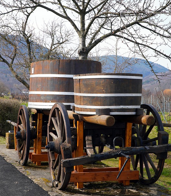 Jak dlouhé stárnutí v dřevěných sudech ⁢přidává na výjimečnosti alkoholu